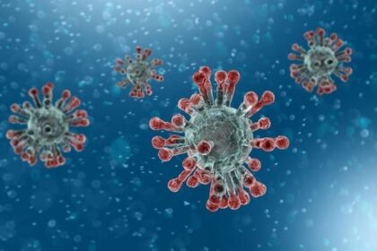 s630_microscopic_view_of_coronavirus.jpg.gallery